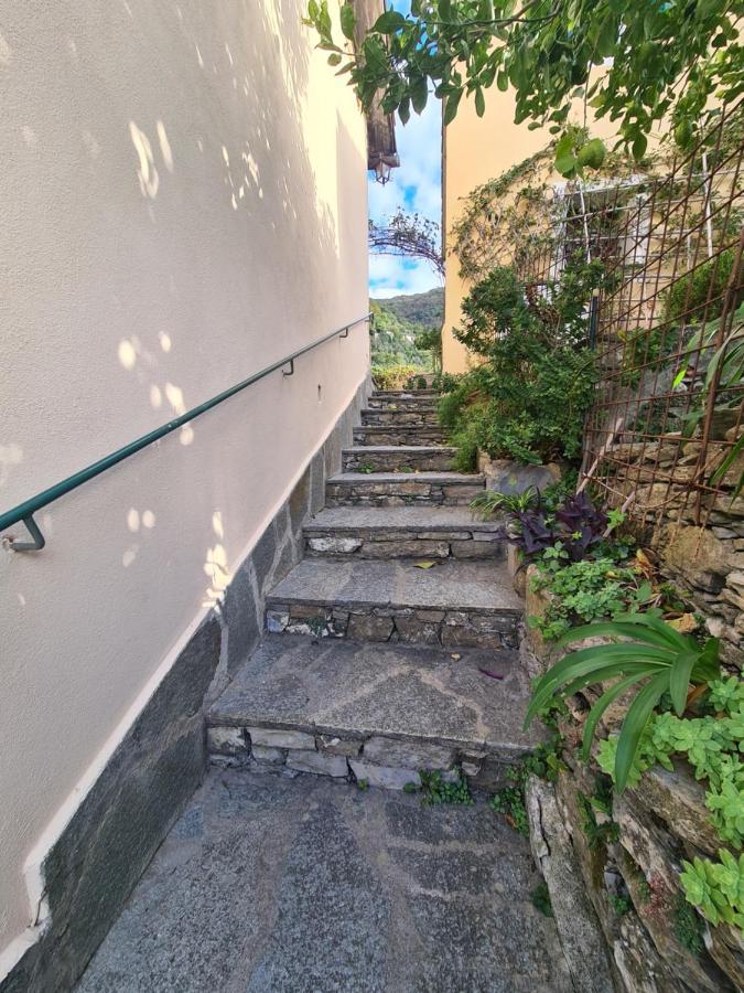 Castrusso Il Frantoio Di Rapallo By Portofinovacanze 외부 사진